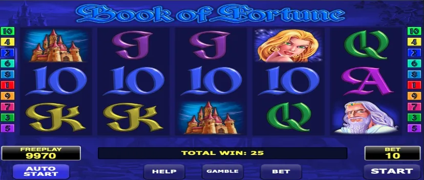 Book Of Fortune 1